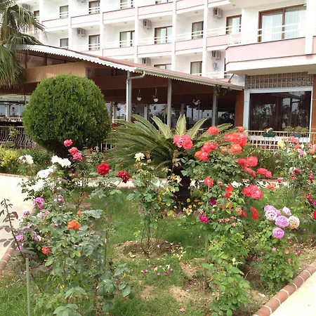 Ideal Kargıcak